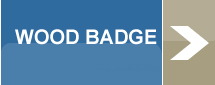 Wood Badge Button
