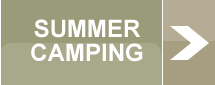 Summer Camping Button
