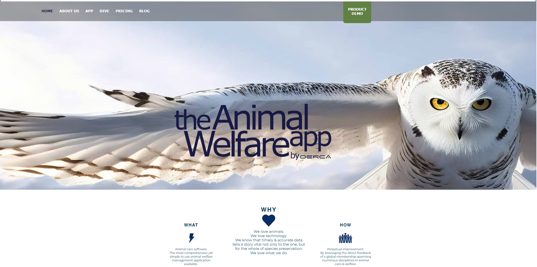 Screenshot of Oerca's homepage
