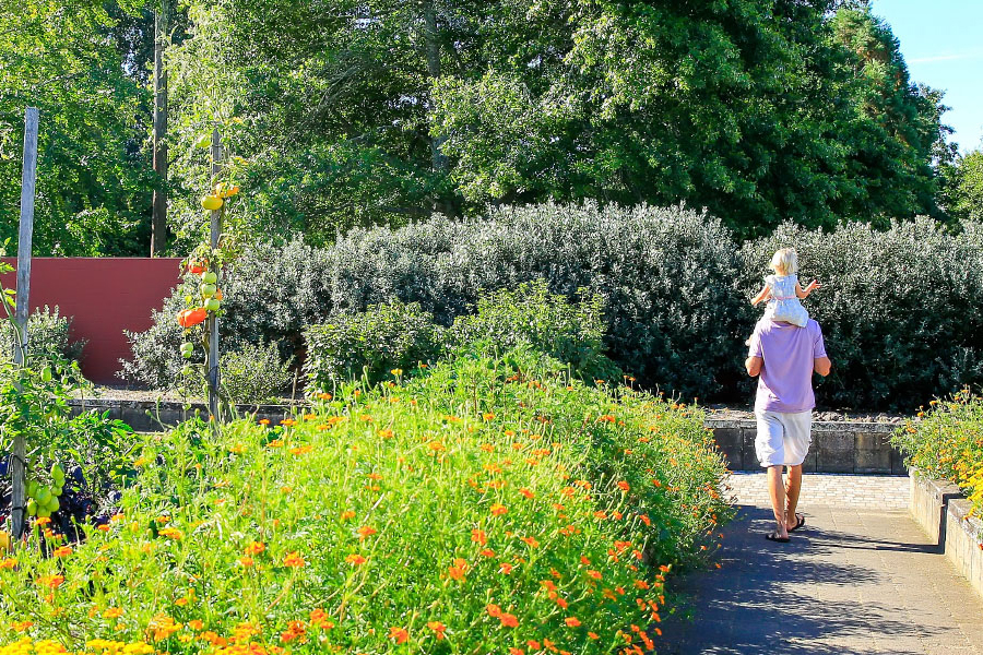 nature-centers-and-botanical-gardens-solutions-doubleknot nature-centers-and-botanical-gardens-solutions-doubleknot