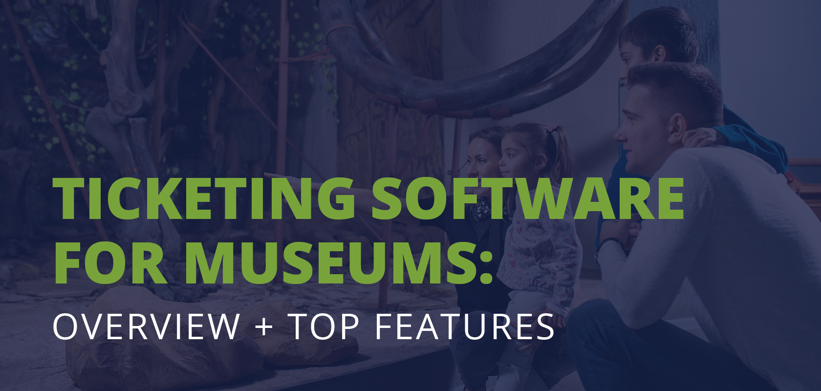 The title of the post: “Ticketing Software for Museums: Overview + Top Features.”